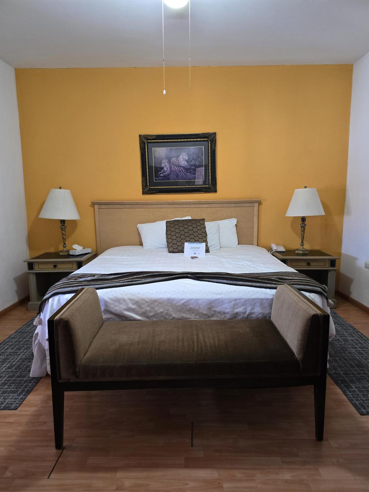 Hotel Boutique El Viejo Mundo 伊达尔戈德尔帕拉尔 外观 照片